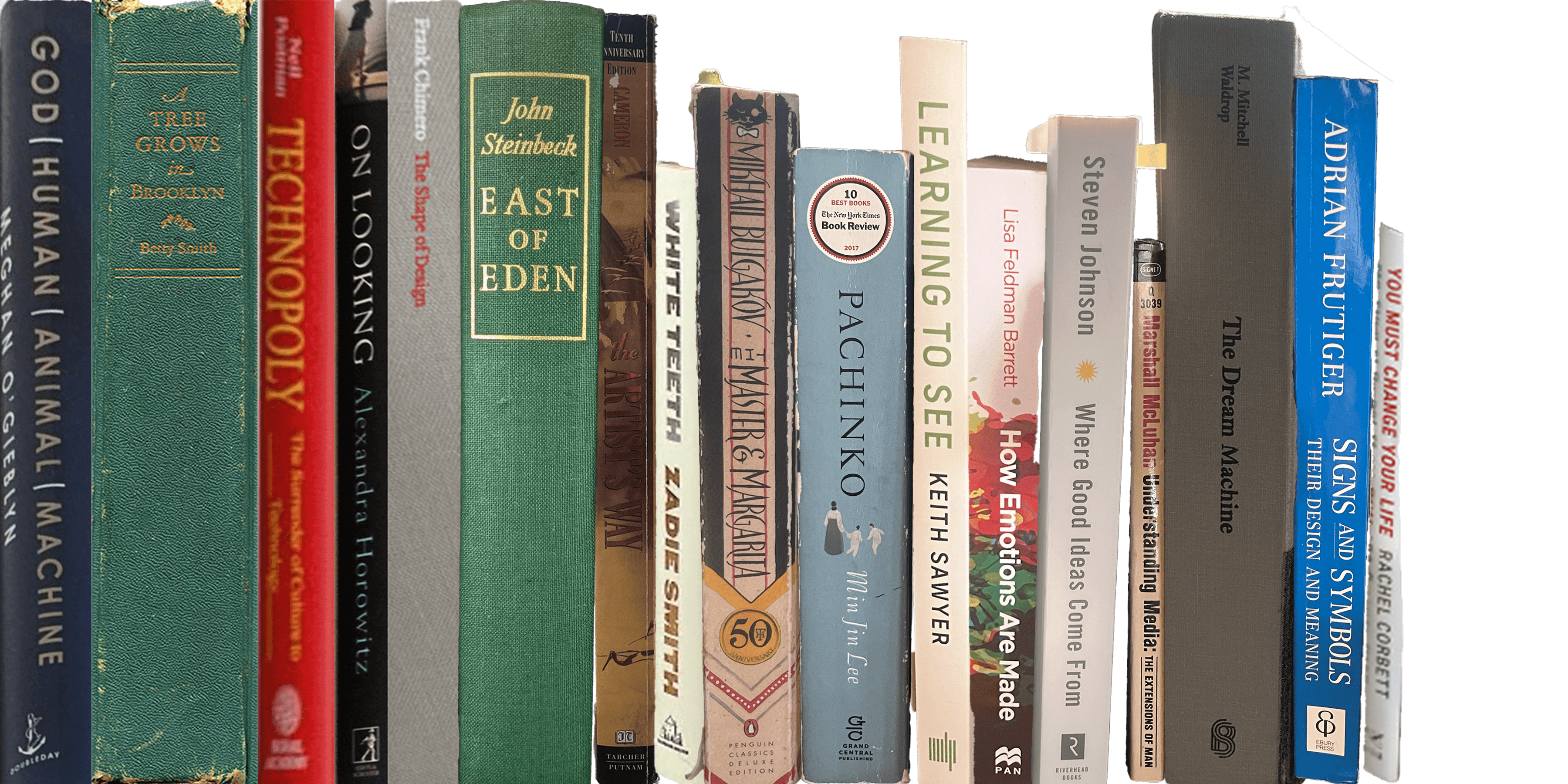 Bookshelf showing book spines